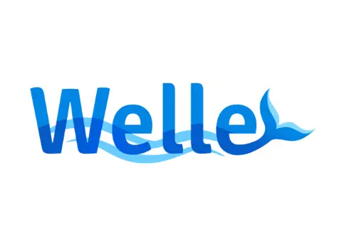 Welle